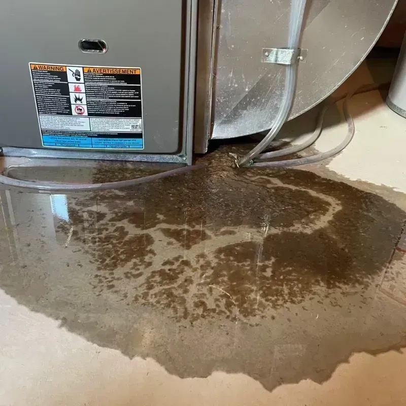 Appliance Leak Cleanup in Big Rock, IL